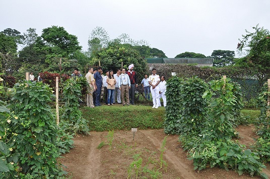 Kitchen Garden in Lok Bhavan